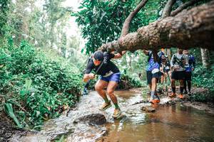 BIB: 
                            <button type="button" onclick="openModal(25375805)" class="btn btn-primary btn-sm float-right btn-popup" data-toggle="modal" data-target=".modal-high-quality">
                        <i class="fas fa-shopping-cart"></i> Add to Cart
                    </button>
                                            <button type="button" onclick="isThisMe(25375805, true)" class="btn btn-success btn-sm float-right btn-popup btn-isme hidden" data-toggle="tooltip" data-placement="bottom" title="นี่คือรูปของคุณใช่ไหม คลิกที่นี่เพื่อเอาเข้าอัลบั้ม">
                        <i class="fas fa-plus"></i> Add to album
                    </button>
                    <button type="button" onclick="isThisMe(25375805, false)" class="btn btn-warning btn-sm float-right btn-popup btn-isnotme hidden">
                        <i class="fas fa-ban"></i> Remove from album
                    </button>